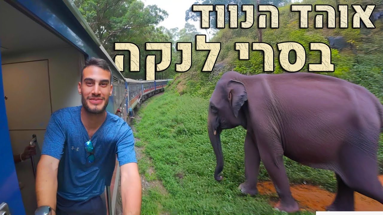 🐘חיפשתי לוויתנים למרות אזהרת המסע! אוהד הנווד בסרי לנקה 🛤
