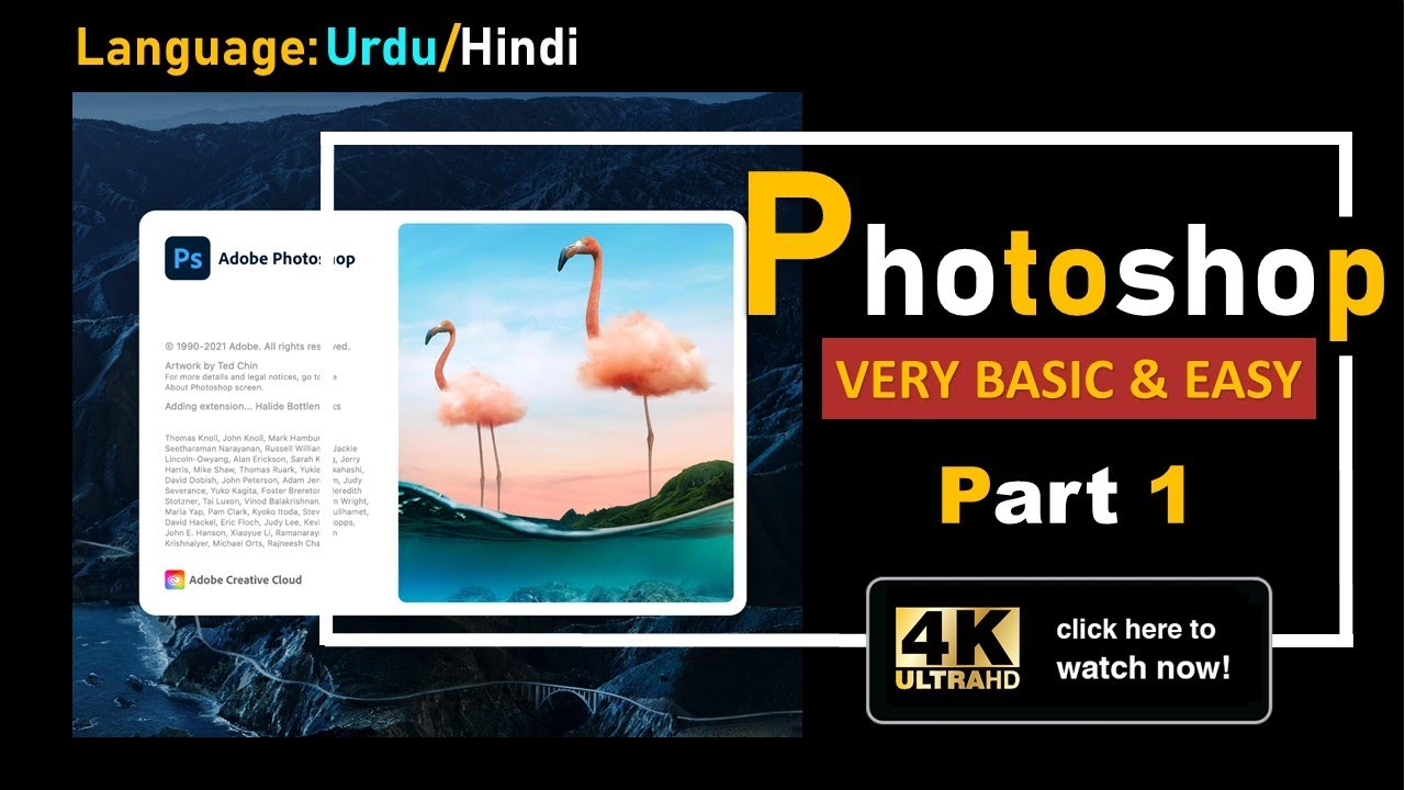 Photoshop Basic for Beginners: Complete Course in Urdu/Hindi