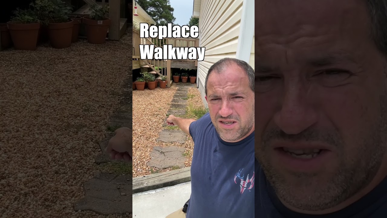 3 Winter Projects 🥶❄️🌨️ #shorts #garden #projects