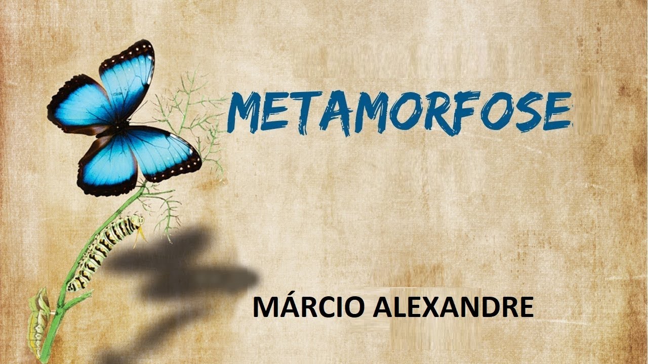 METAMORFOSE - MÁRCIO ALEXANDRE