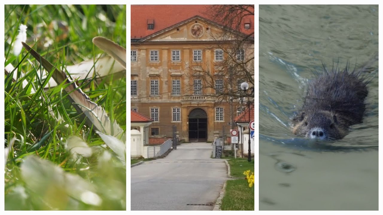 Holíč, SK - A Picturesque Town That Won Over The Imperial Family
