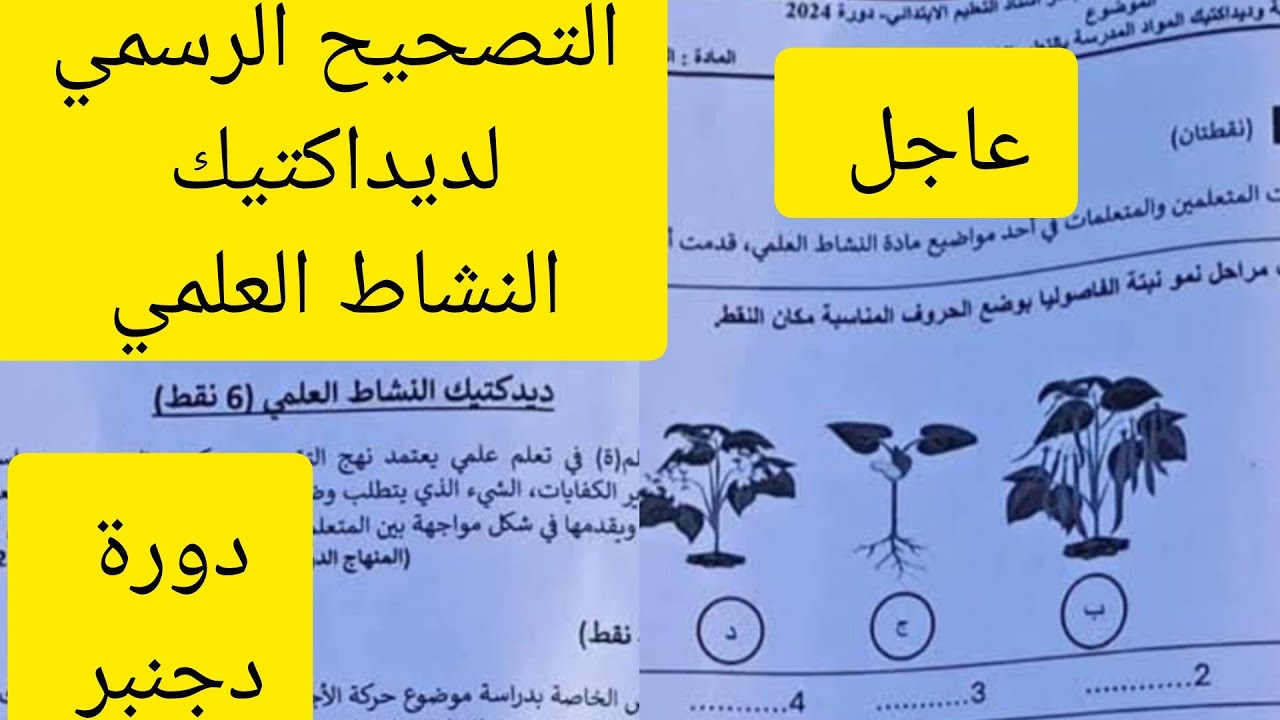 تصحيح ديداكتيك النشاط العلمي لامتحان الكفاءة المهنية دورة دجنبر 2024(الرسمي)