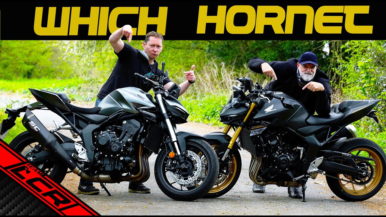Which Honda Hornet? | SP Or Not To SP, That Is The Question..