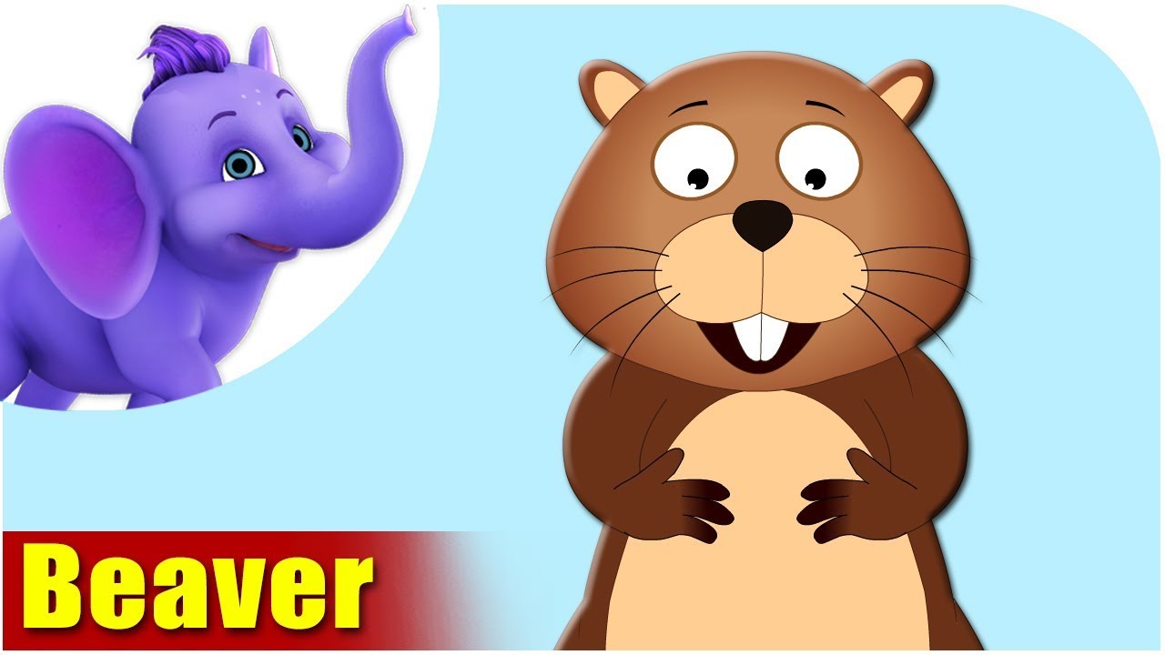 Beaver - Animal Rhymes in Ultra HD (4K)