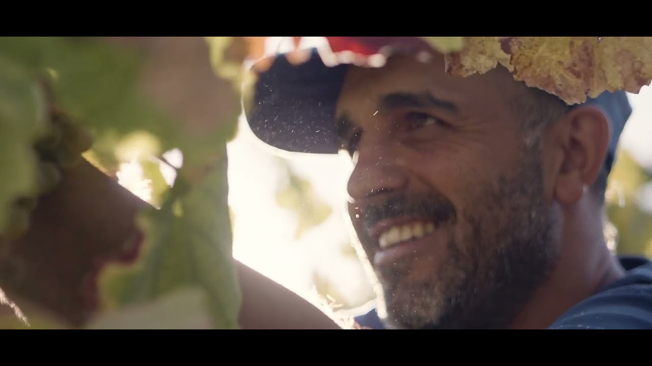 Voices That Inspire: Storytelling for Change