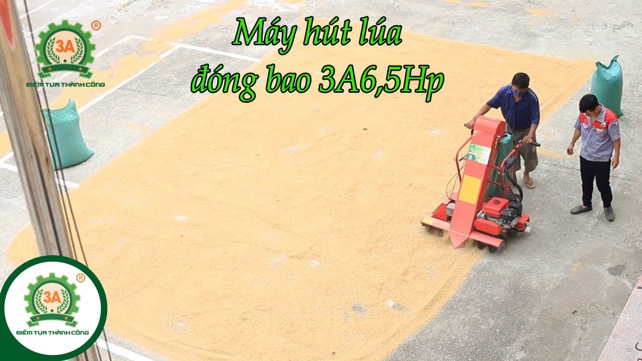 Máy hút lúa đóng bao 3A6,5Hp || Máy hút thóc giải phóng sức lao động cho bà con!