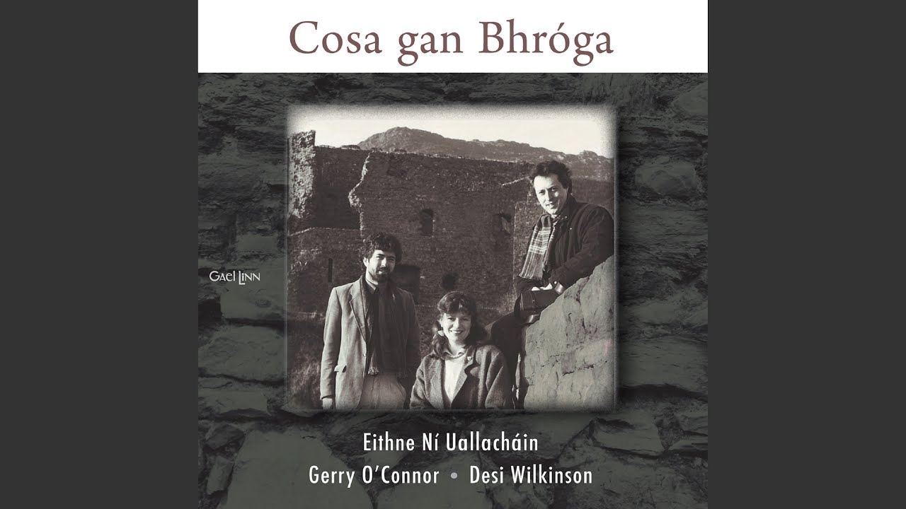 The Coachman’s Whip / Paddy Carty’s (Reels)