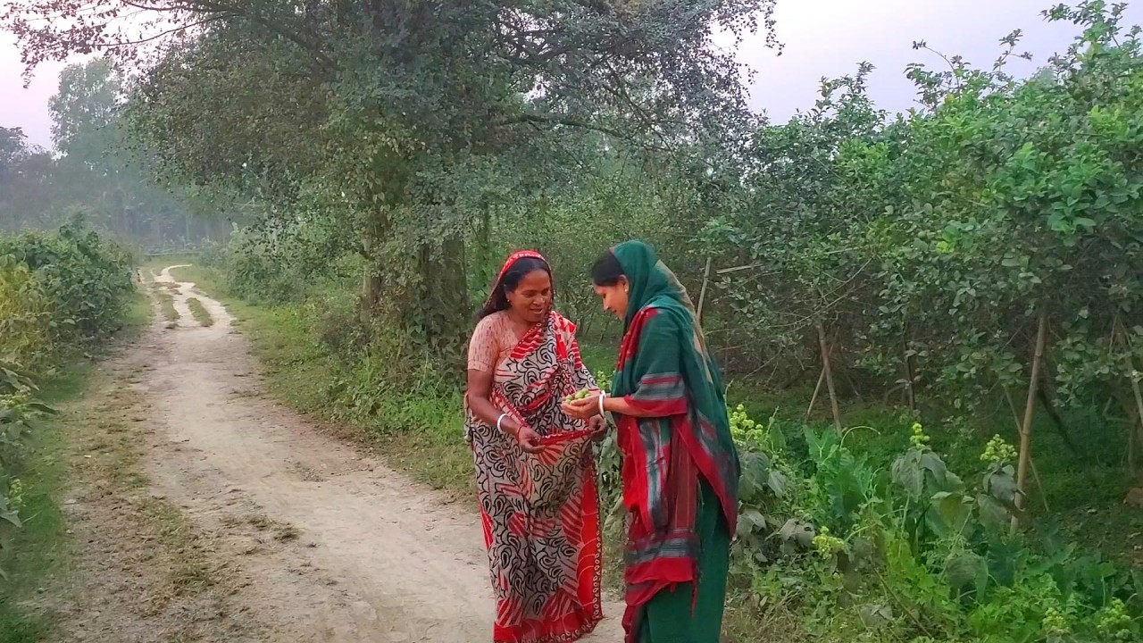 বাপের বাড়ি এসে দিদি আর আমি বড়ুই চুরি করে খেলাম//সময় খুব তাড়াতাড়ি ফুরিয়ে যায়
