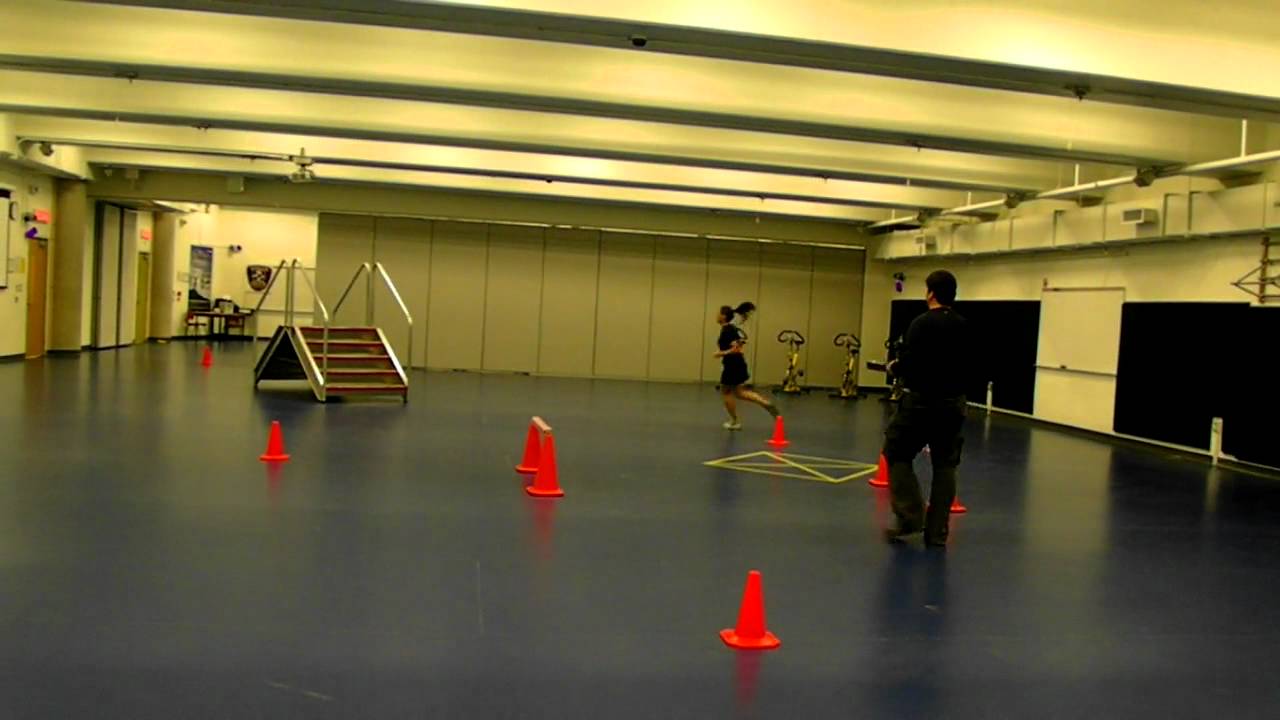 RCMP - GRC PARE / TAPE (Physical Abilities Requirement Evaluation)