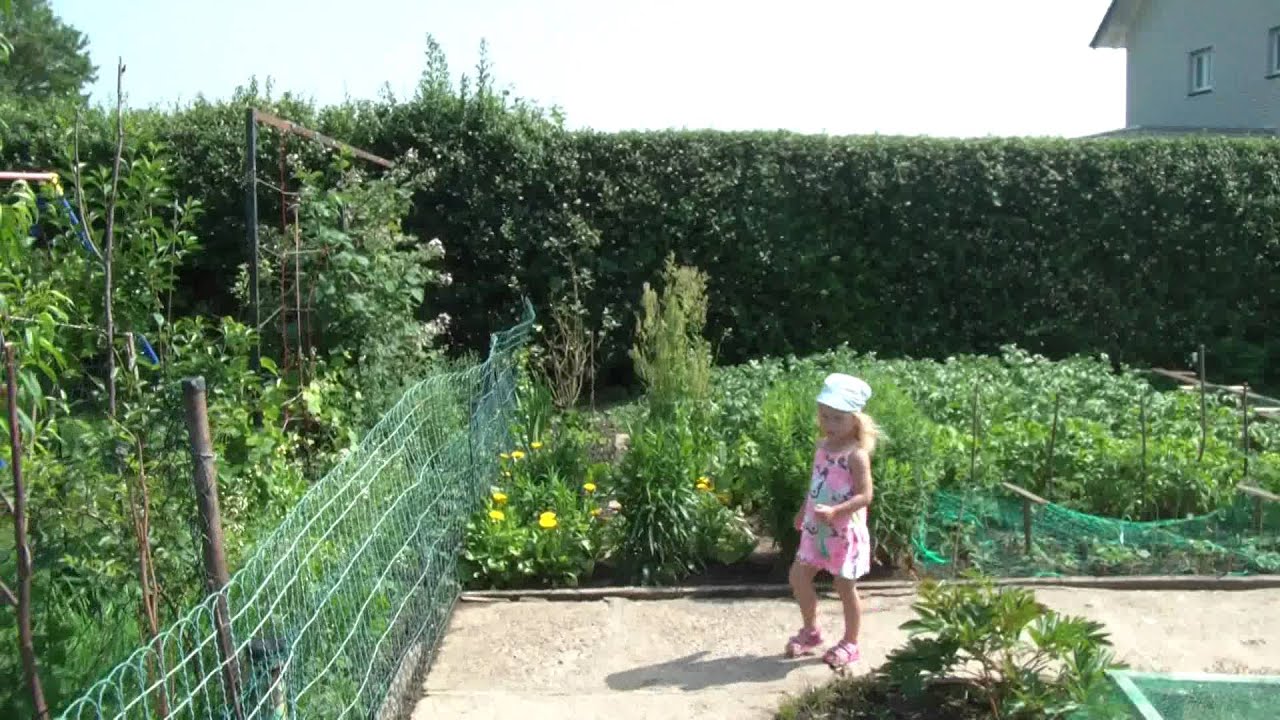 Дачный участок в Германии.