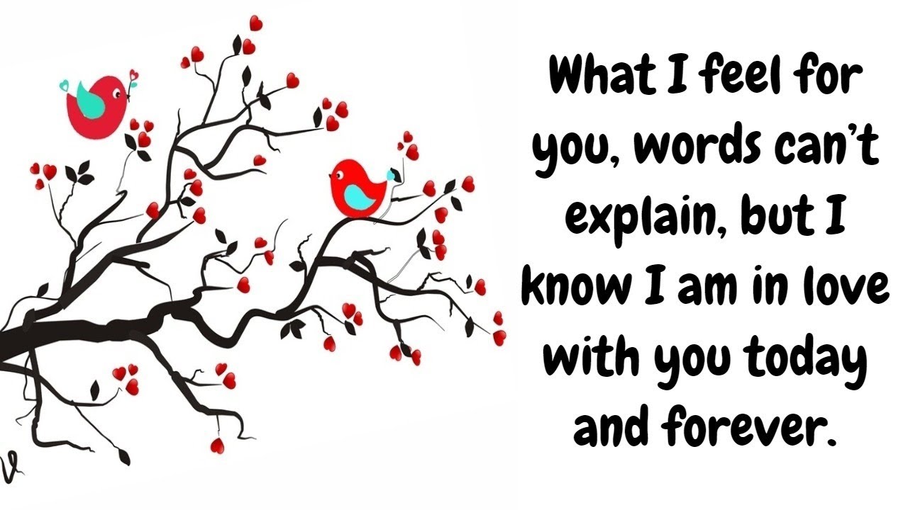What I feel for you, words can’t explain, but I know I am in love with you today and forever.