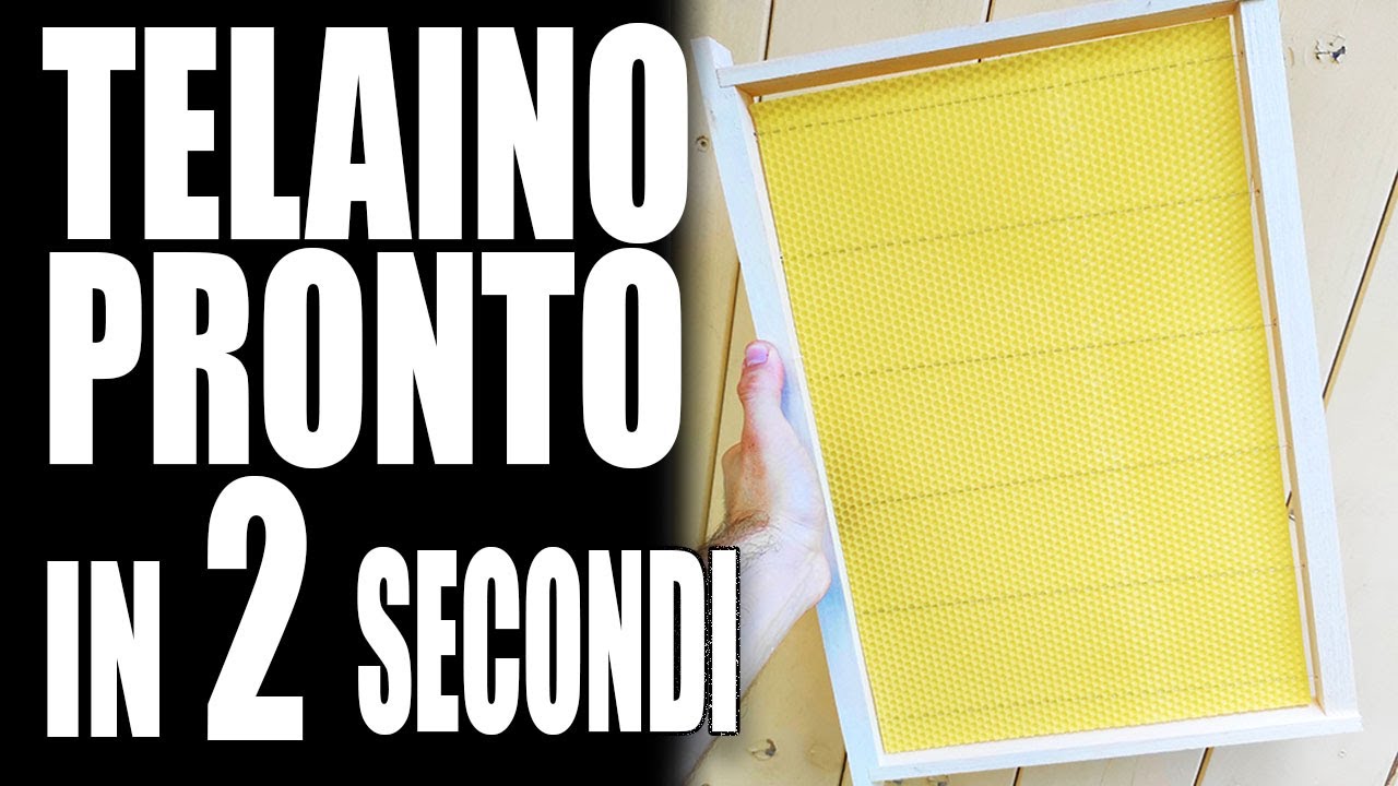 APICOLTURA: COME UNIRE I FOGLI CEREI AI TELAINI