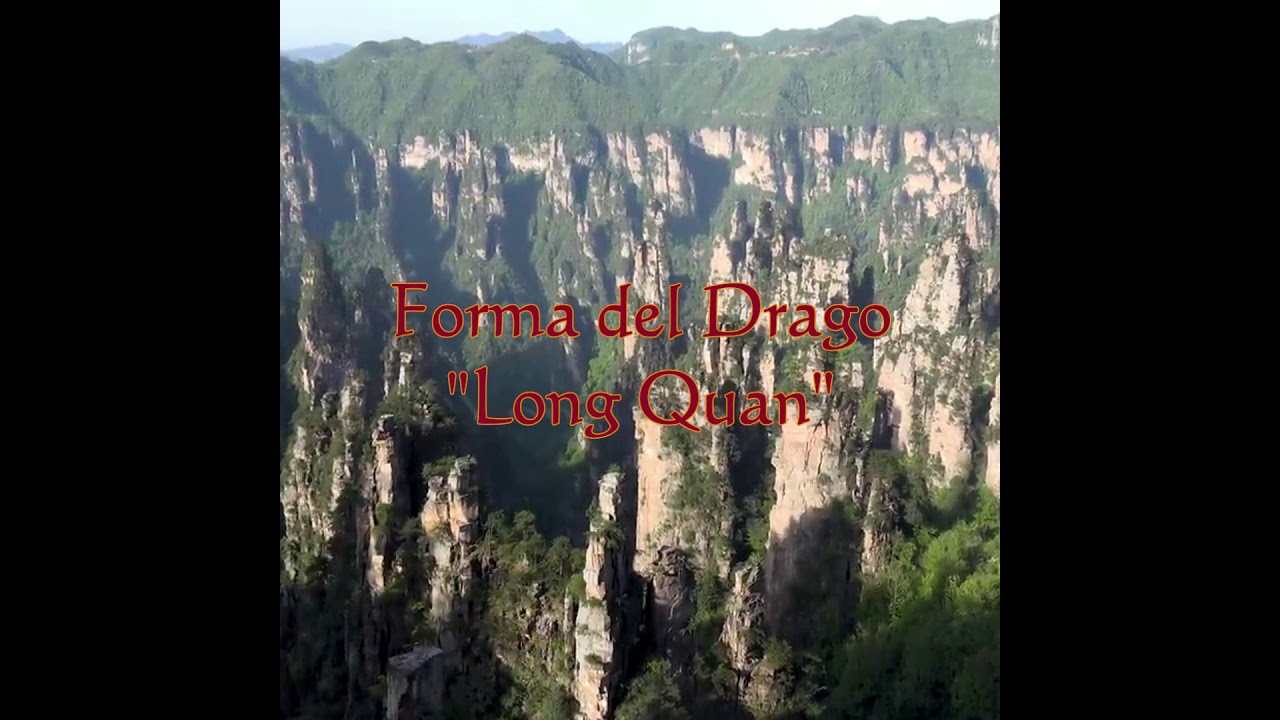 Long Quan - Stile del Drago - Traditional Kung Fu