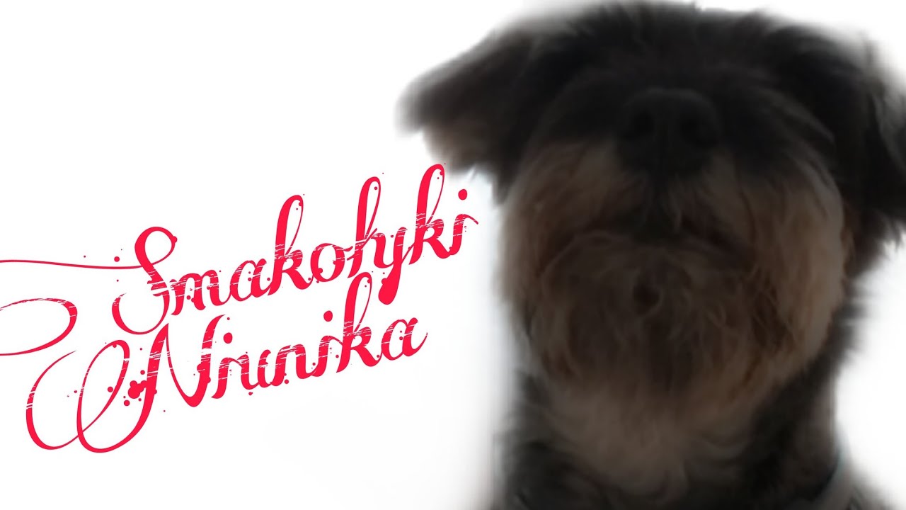 Aktualizacja smakołyków mojego psa#3