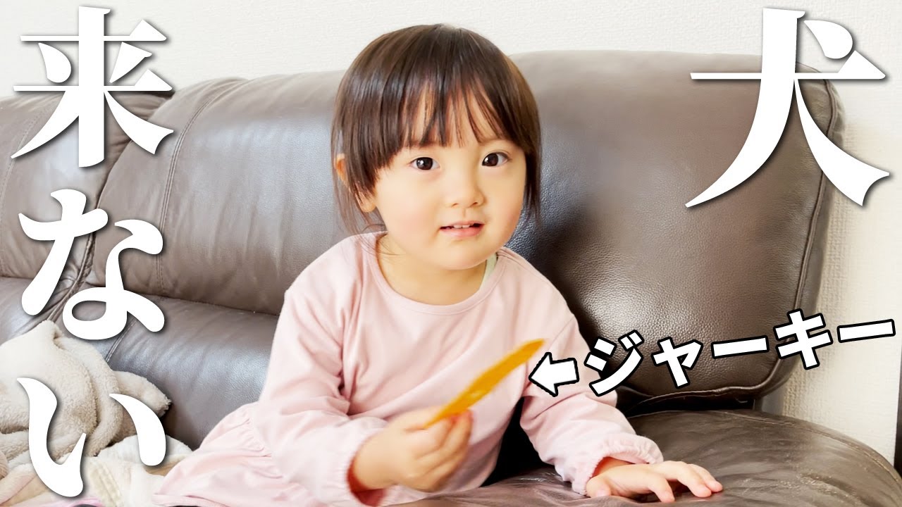 犬たちに会いに行ったけどあまり遊べなかった3歳娘