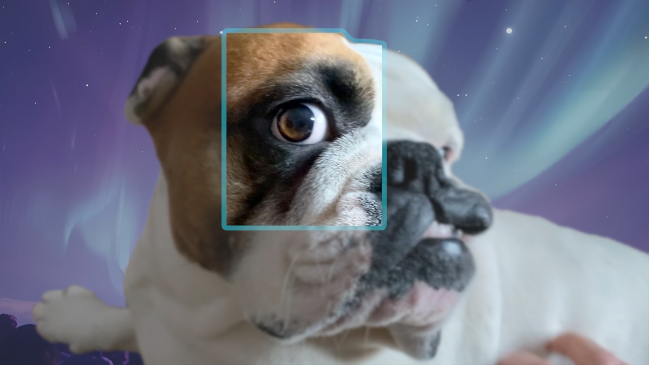 RAW to RECOVERING Bulldog Eye Skin Fold