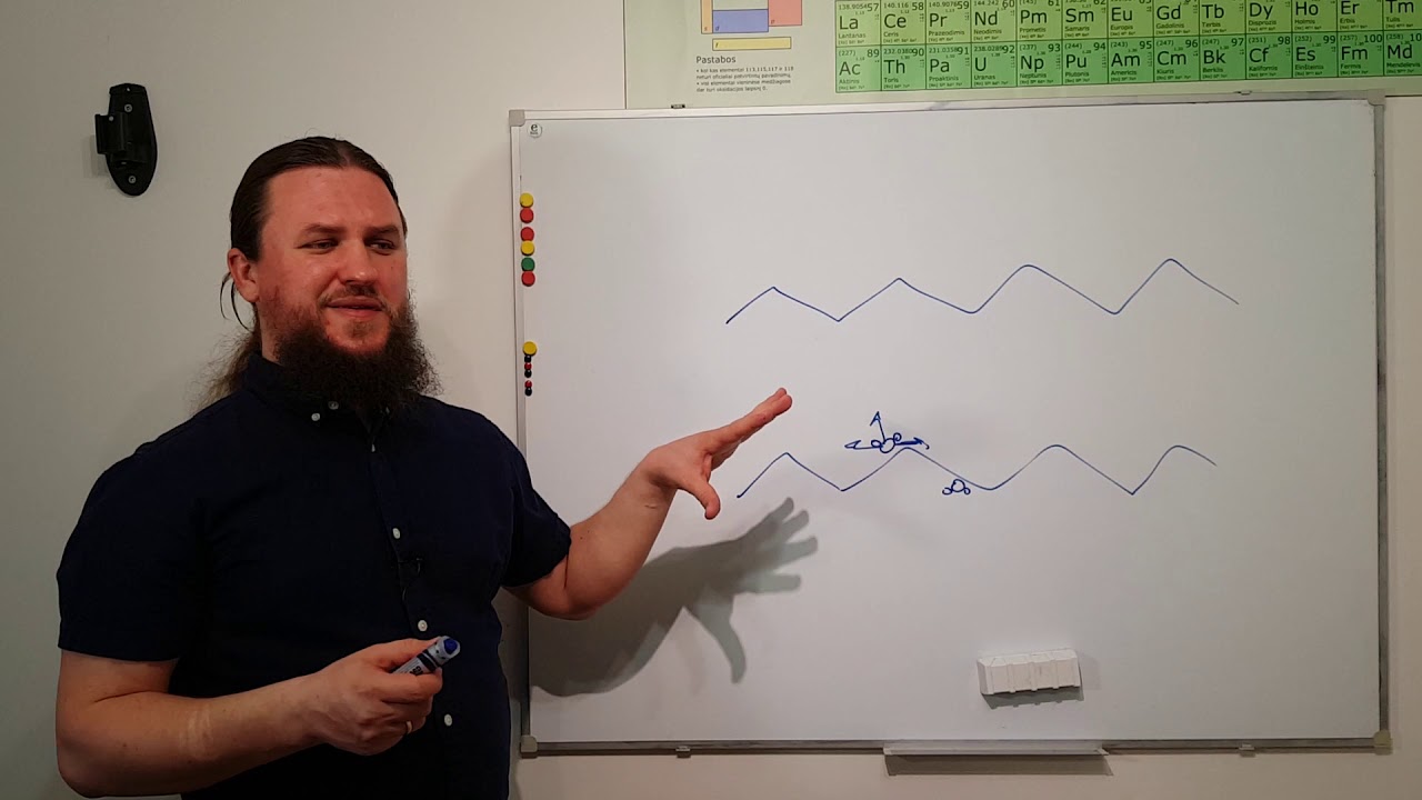 Paskaita.  Biologinės membranos.  I dalis.