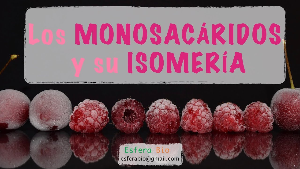 Los MONOSACÁRIDOS y su ISOMERÍA