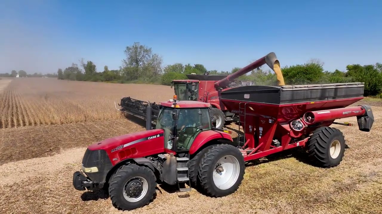 Soybean Harvest 2025 | Case IH 8230 Combine | Stierwalt Farms | Central Illinois