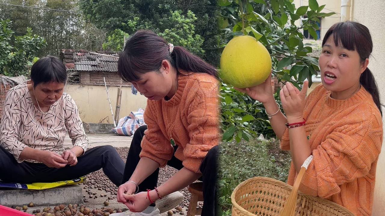 来妈妈家摘柚子咯！顺便帮妈妈搭把手，每次回来都是幸福又充实的时光～