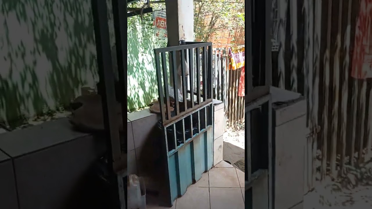 A casa da minha mãe precisa de ajuda: o começo de uma grande transformação