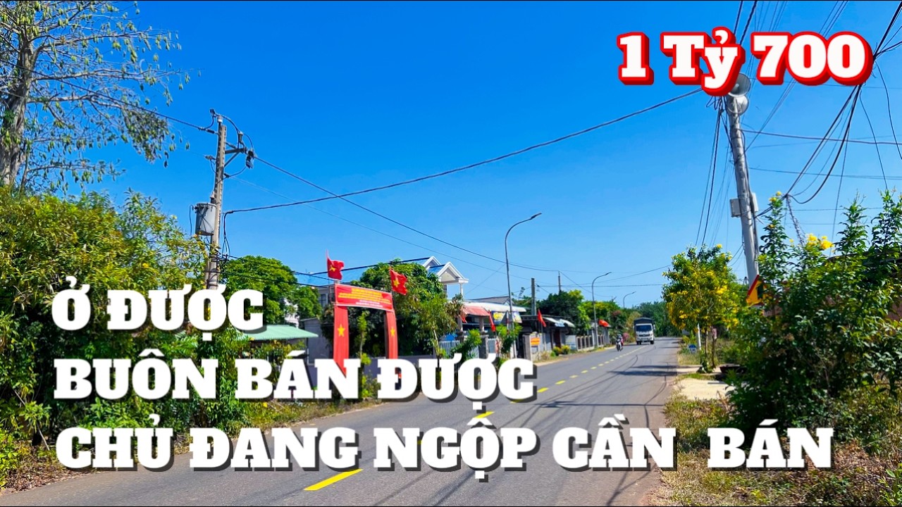 CẦN TIỀN GẤP anh Long bán rẻ đất vườn sẳn thổ cư đường chính ở được buôn bán được giá quá ok ở BRVT.