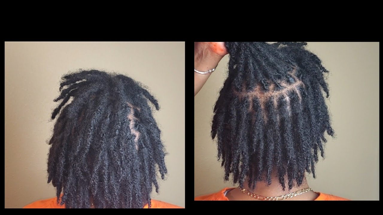LOC KING WITH TWO STRAND TWIST STARTER LOCS
