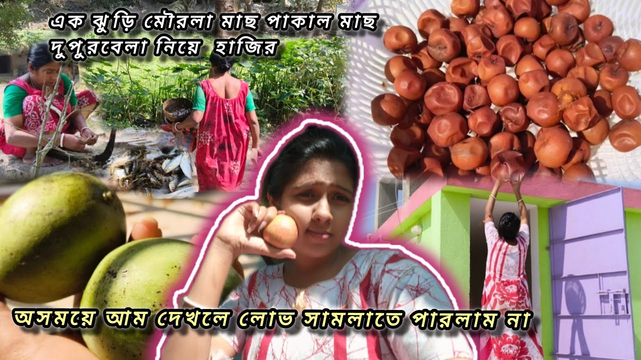  অসময়ে আম দেখে লোভা সামলাতে পারলাম না মানুষ বলে কথা। বাড়ির গাছের ফুল বেশ ভালোই মিষ্টি ।