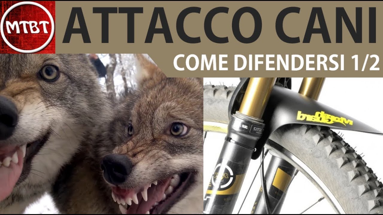 Ciclismo come difendersi dall'attacco di uno o piu' cani tecniche e accessori di difesa 1/2 | MTBT