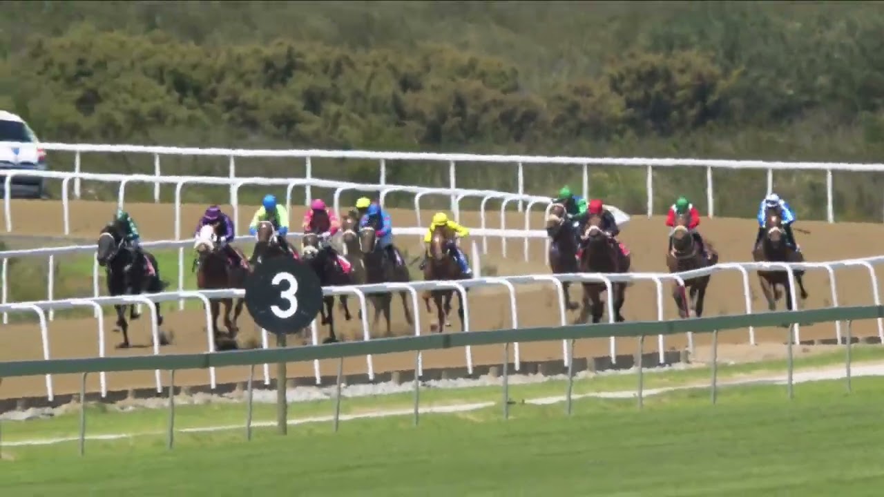 BELLE OF BELIZE - RACE 3 #fairview 30-12-2022