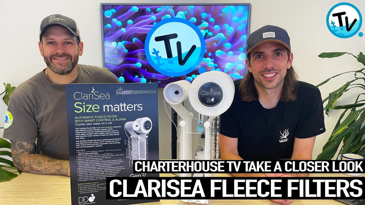 D-D Clarisea Fleece Filter - we take a closer look!