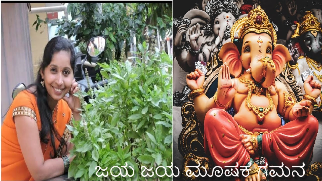 ಜಯ ಜಯ ಮೂಷಕ ಗಮನ