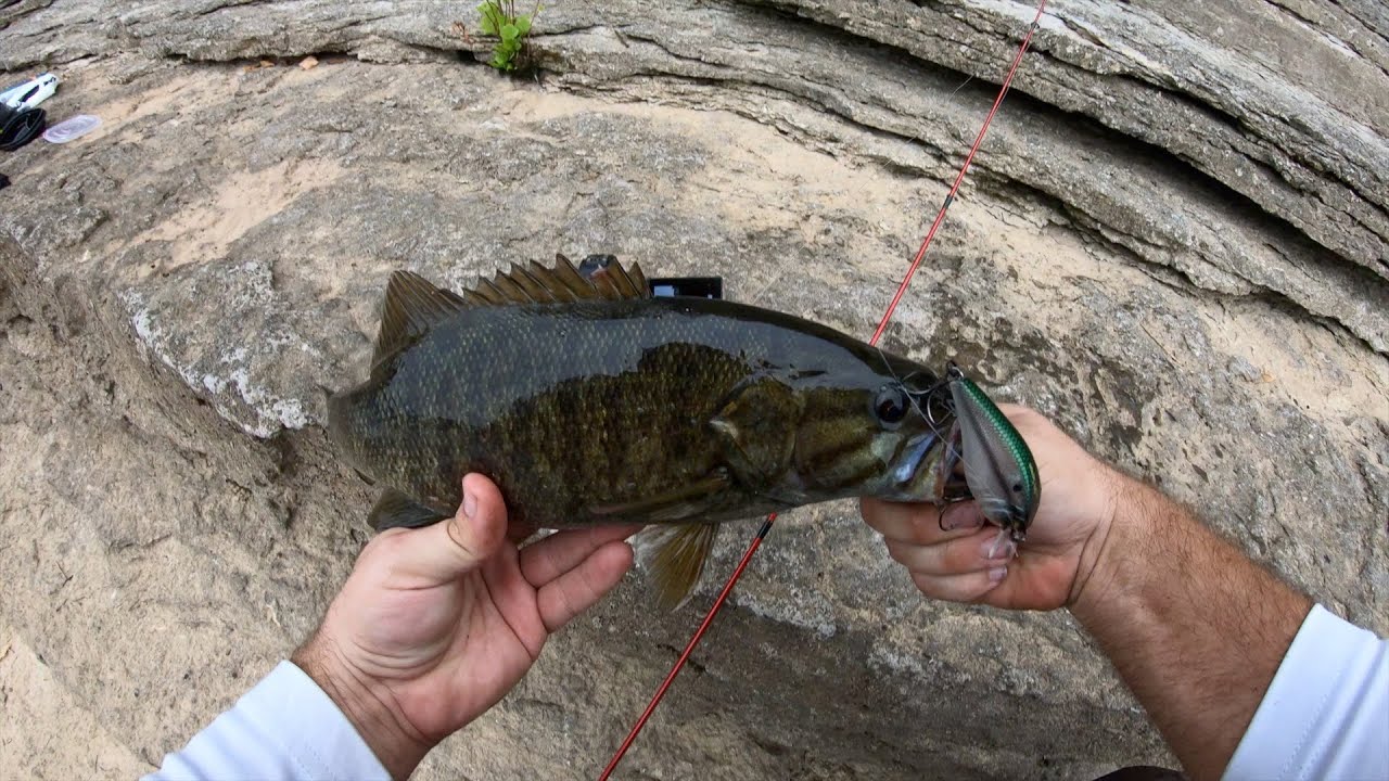 Catching Some Dam(n) Fish - Duck River Dam Columbia, TN