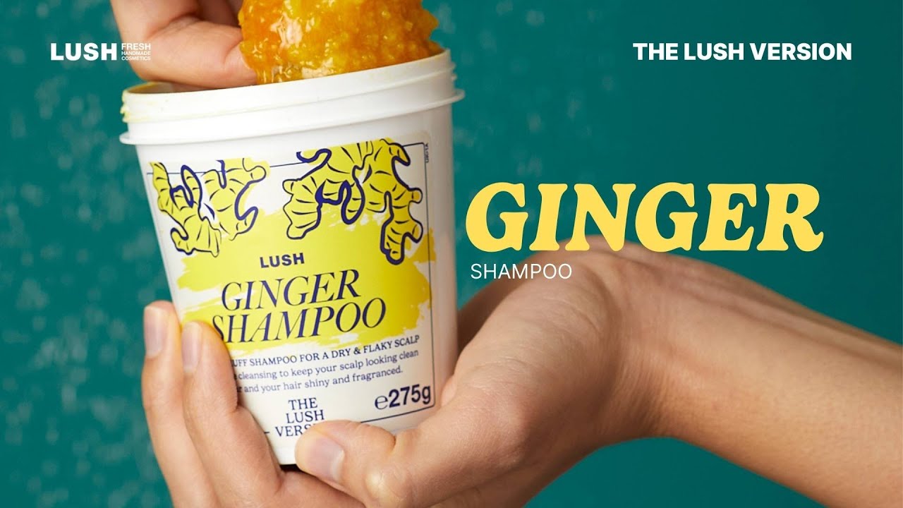 Ginger Shampoo : THE LUSH VERSION