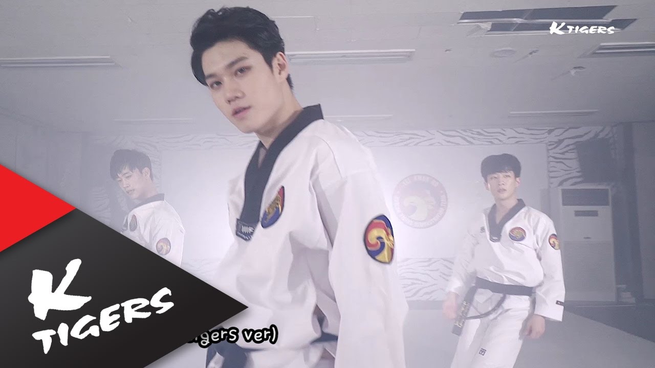 2016 K-Tigers Behind 2016 K타이거즈 비하인드