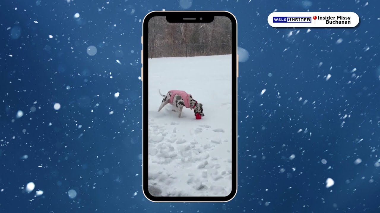 Jan. 27, 2026 | Pin It Video of the Day
