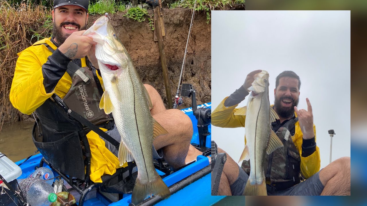 DOIS ROBALOS FLECHA GIGANTE , O PEIXE DA VIDA , RIO ARARANGUÁ
