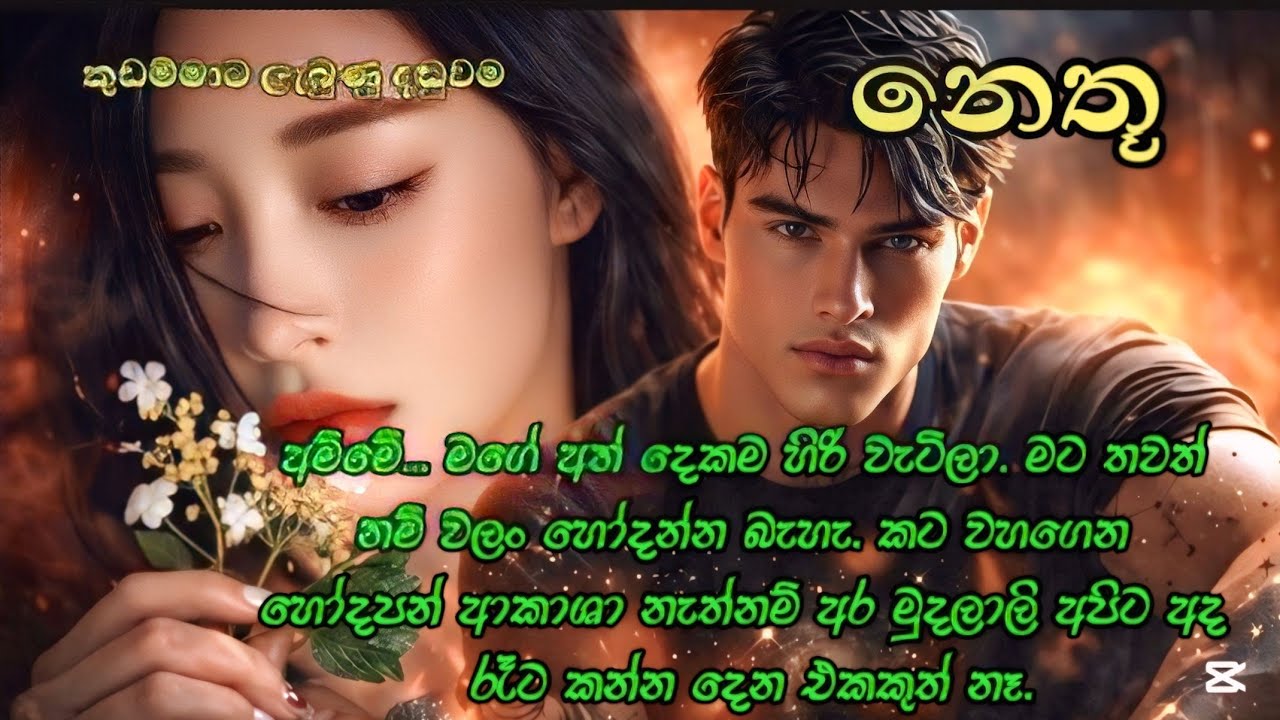 නෙතූ අවසාන කොටස ( කෙටිකතාවක් )