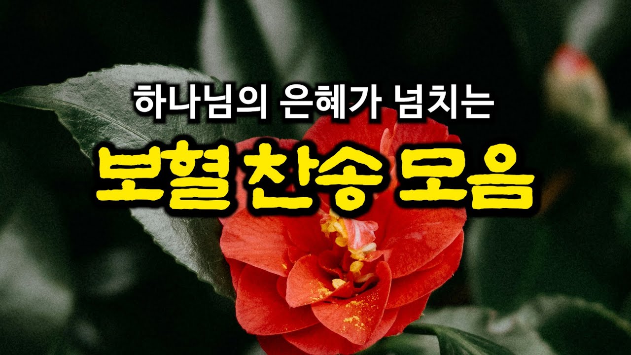 [보혈찬송모음] 나 같은 죄인 살리신 | 고백과 기도음악 | 기도와 명상 | 눈물로 기도하며 불렀던 그날의 찬양 | 새벽기도용 2시간 연속재생 | 중간광고없음 | Hymn