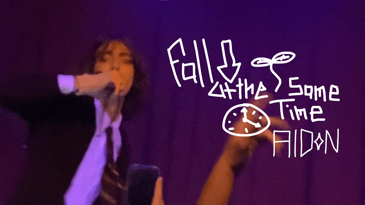 aldn - fall at the same time (Live at Washington D.C)