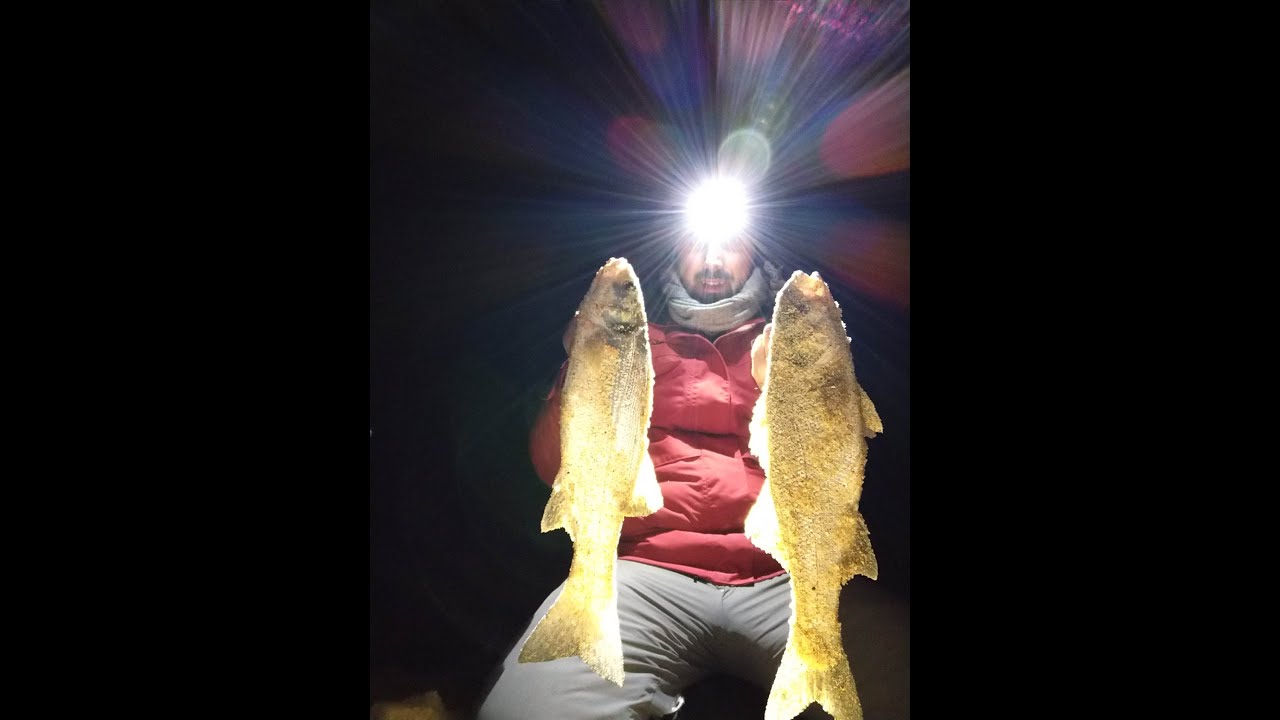 MINI ROTEIRO - surfcasting.