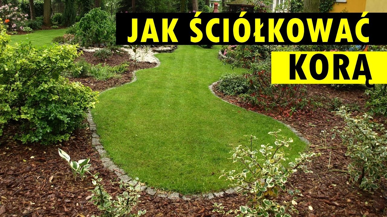 Ściółkowanie korą sosnową bez pomyłek - jak prawidłowo wysypać korę?