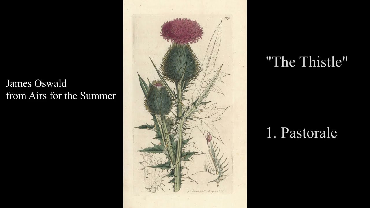Echoes of Edinburgh: The Thistle by James Oswald