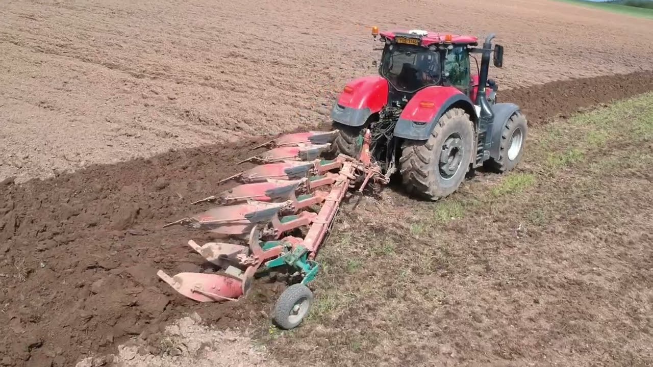 Case IH Optum 300 CVX (Orba) 2024
