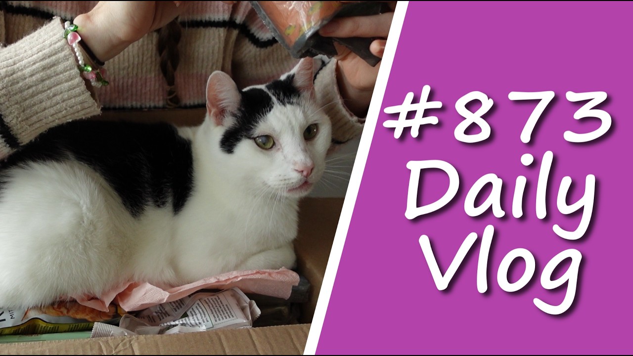 #873 - Paket von Angelika und Bommel packt es (mit) aus! - EINFACH Kathrin