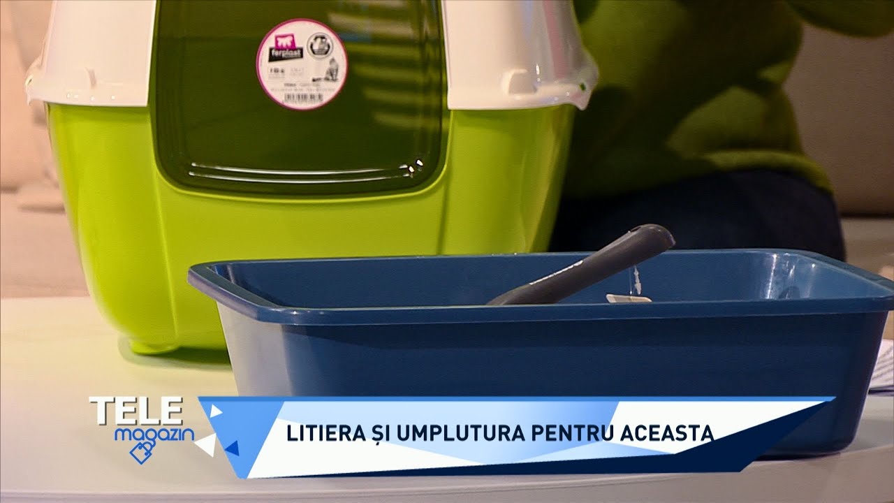 Litiera pisicii. Cum o alegem, cu ce o umplem şi cât de des schimbăm aşternutul