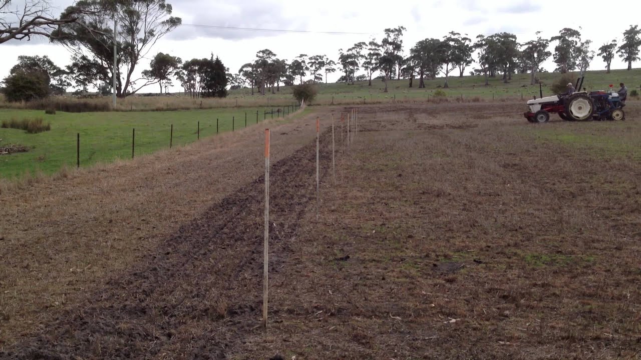 Perennial pasture renovation demonstration -- 'Greenhythe Sowing'