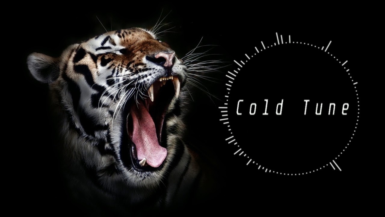 Cold Tune - Last Roar