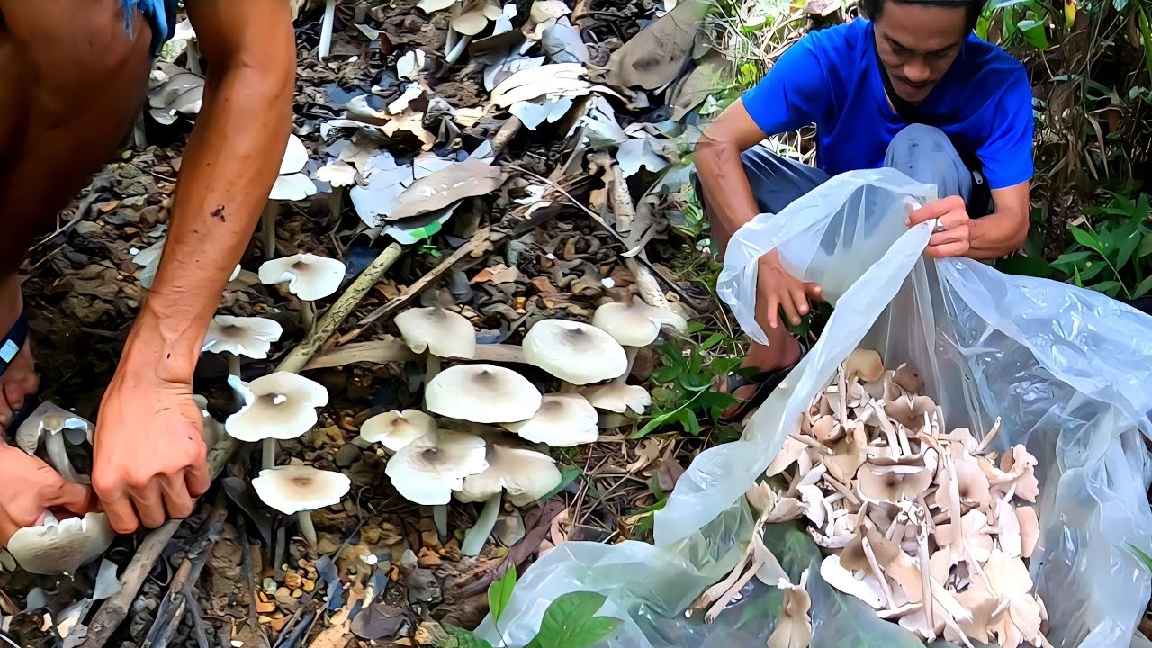 GINULAT KAMI NG MGA KABUTI ANG DAMI! NGAYON LANG KAMI NAKAKUHA NG GANITO KADAMI