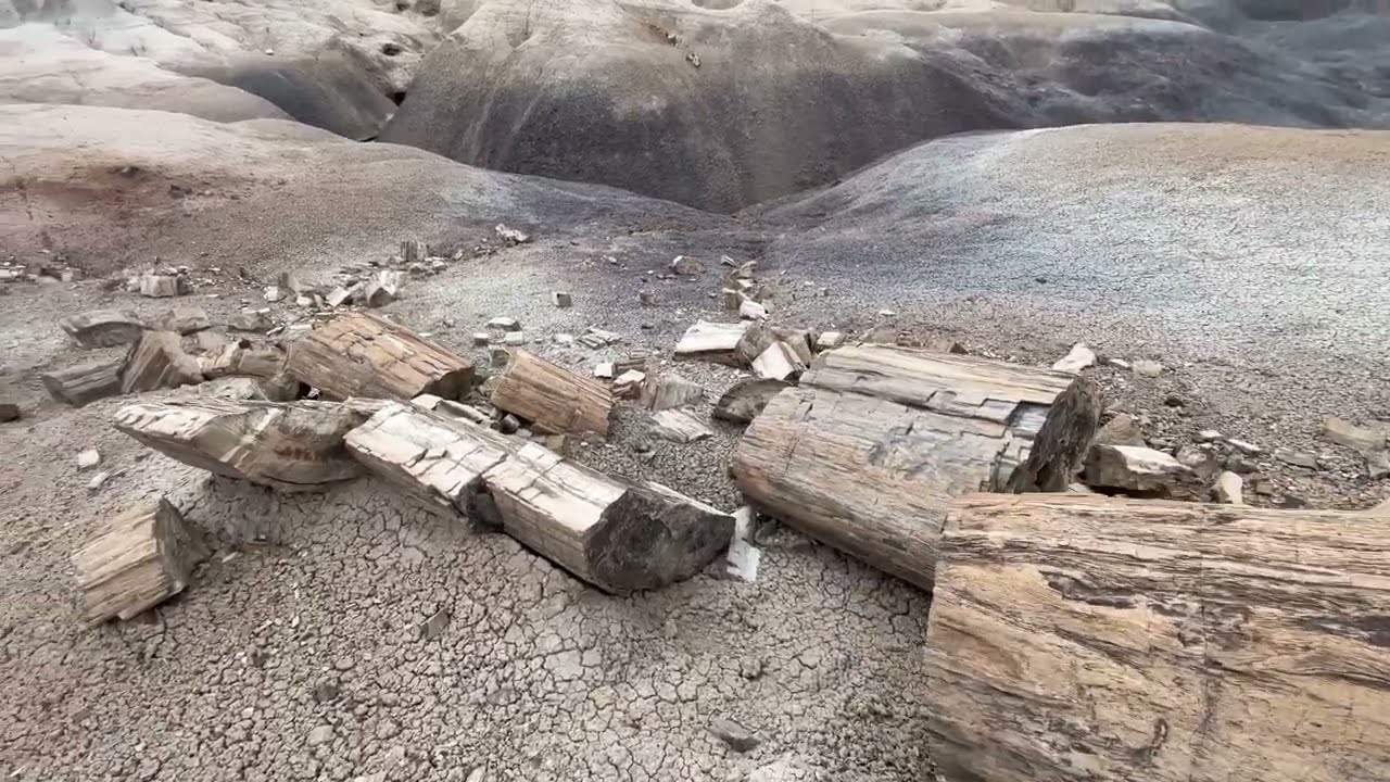 Historic Blue Forest Trail - Petrified Forest National Park - Chambers, Arizona - 5/18/2025